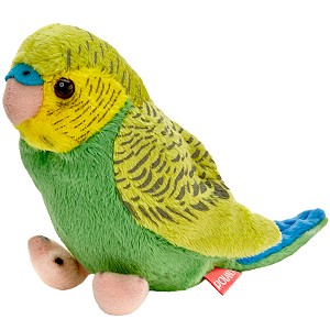 Papużka Falista Zielona - 13cm