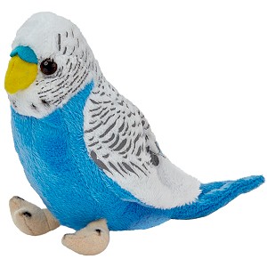 Papużka Falista Niebieska - 13cm