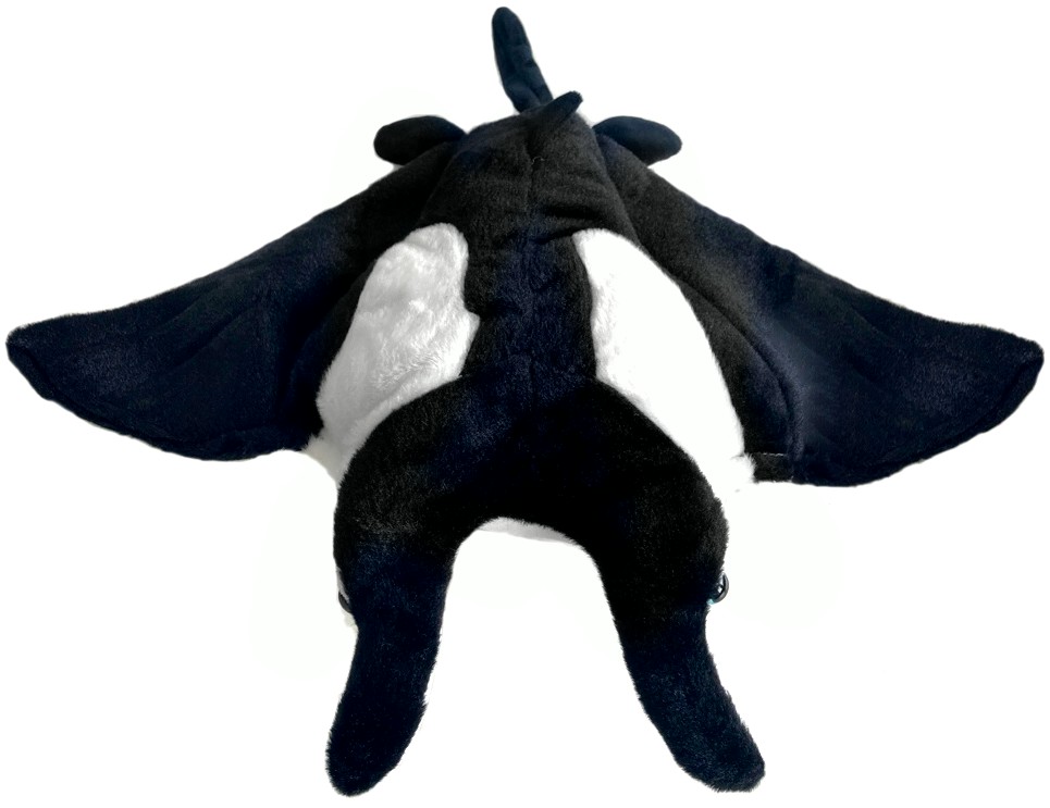 Manta płaszczka czarno-biała - 31cm