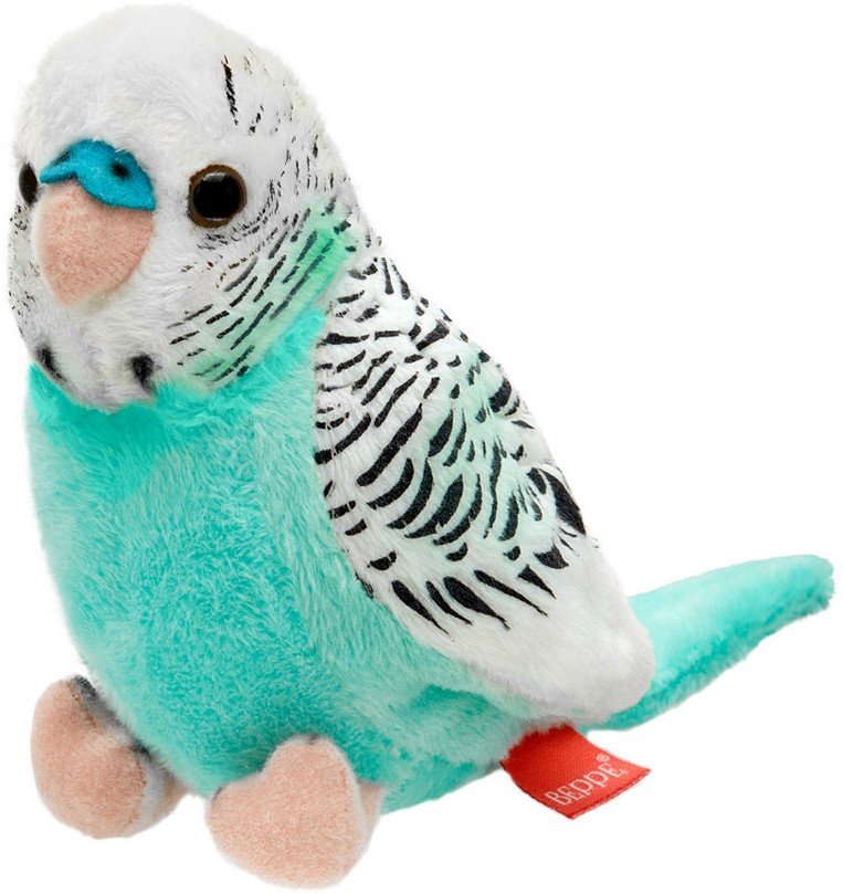 Papużka falista lazurowo-biała - 13cm