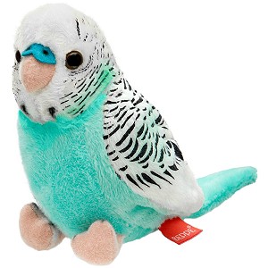 Papużka falista lazurowo-biała - 13cm