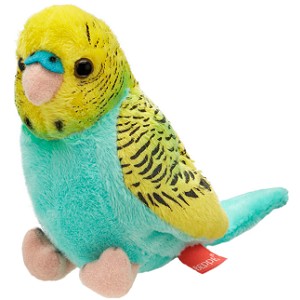 Papużka falista lazurowo-żółta - 13cm