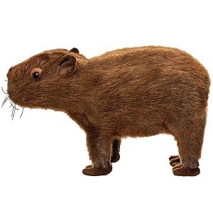 Kapibara - 33cm