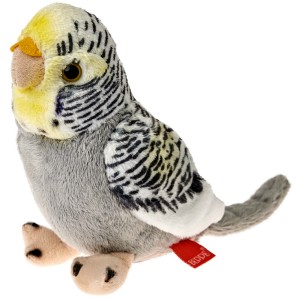Papużka Falista Szara - 13cm