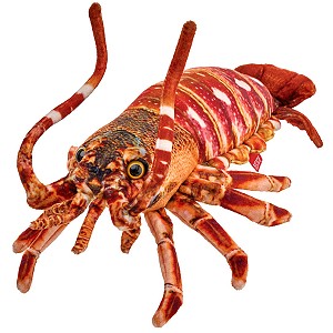 Homar - 33cm