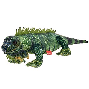 Legwan Iguana - 61cm