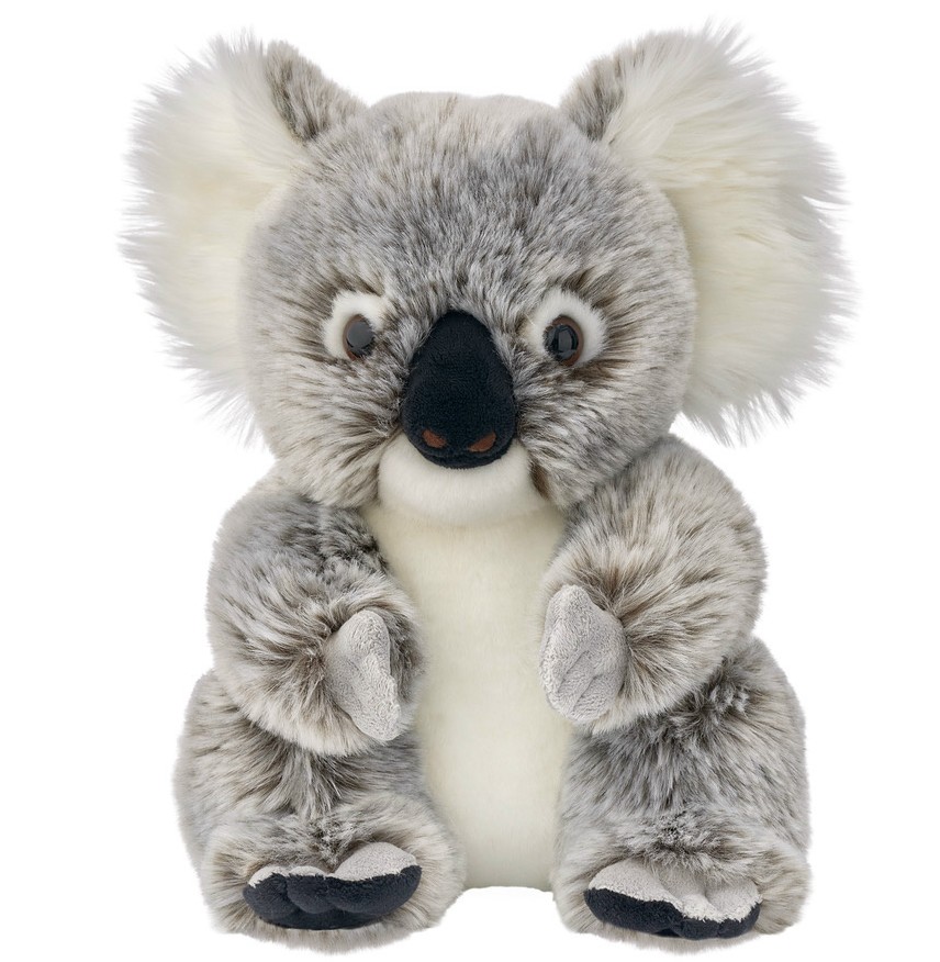Miś Koala Australijski Realistyczny - 25cm