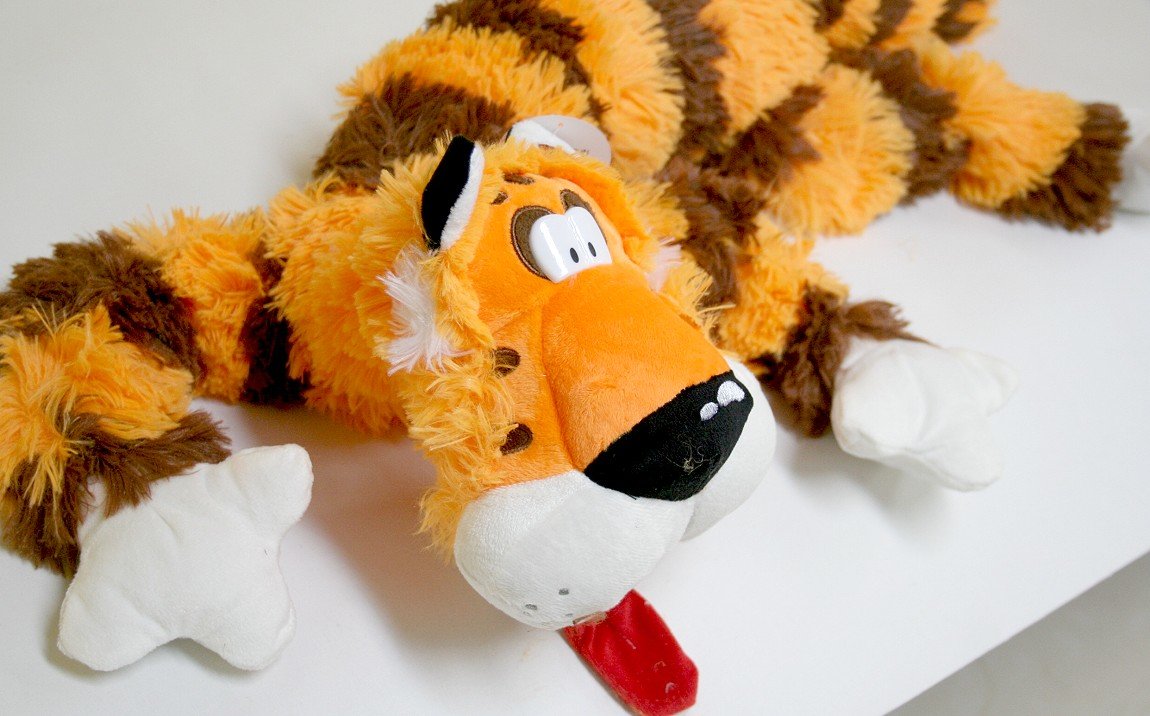 Tygrys Długas Leżący - 60/90cm