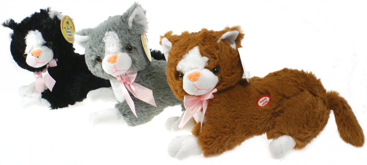 Kot 3 kolory (Głos) - 23cm