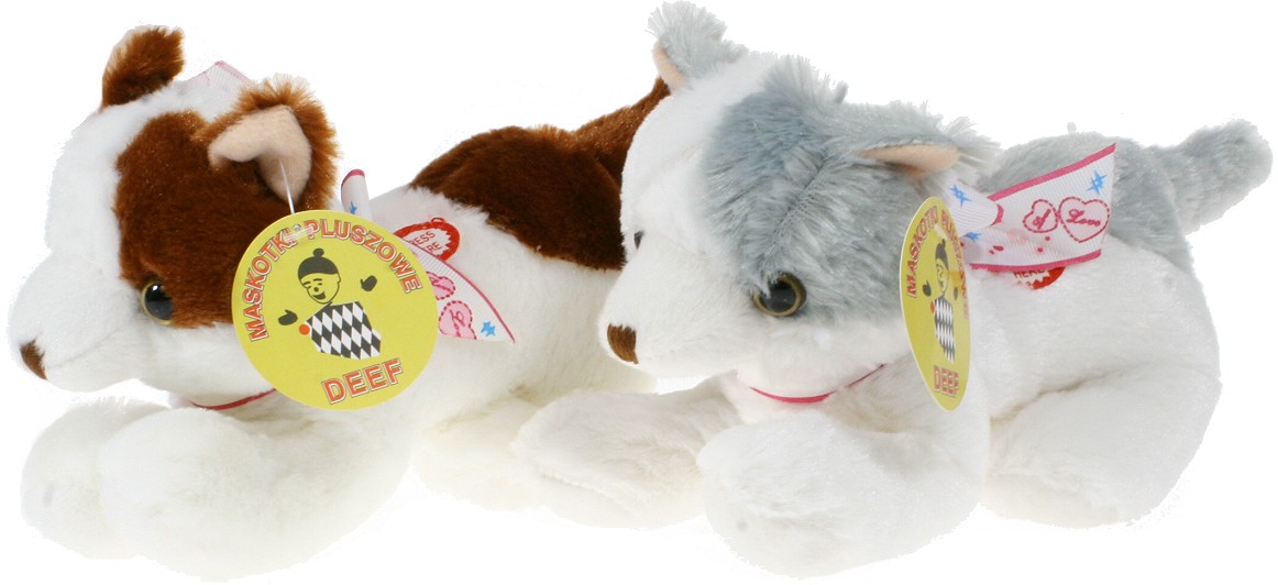 Kot 2 kolory (Głos) - 18cm