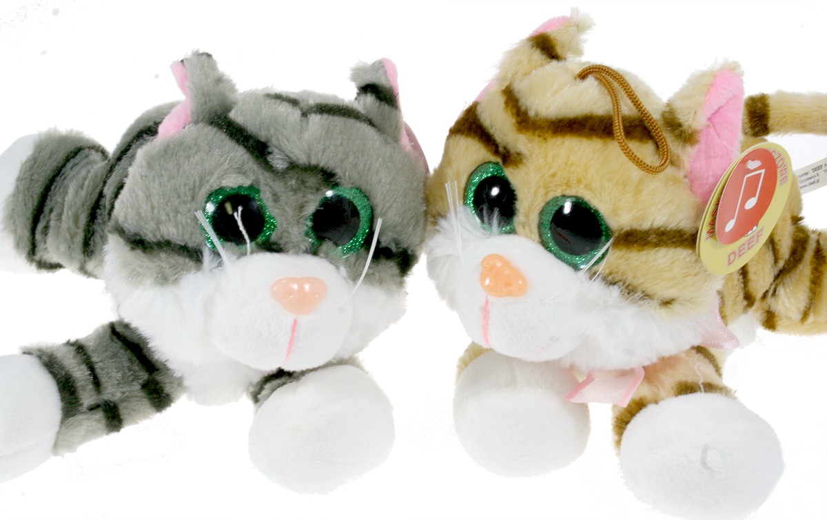 Kot 2 kolory (Głos) - 25/18cm