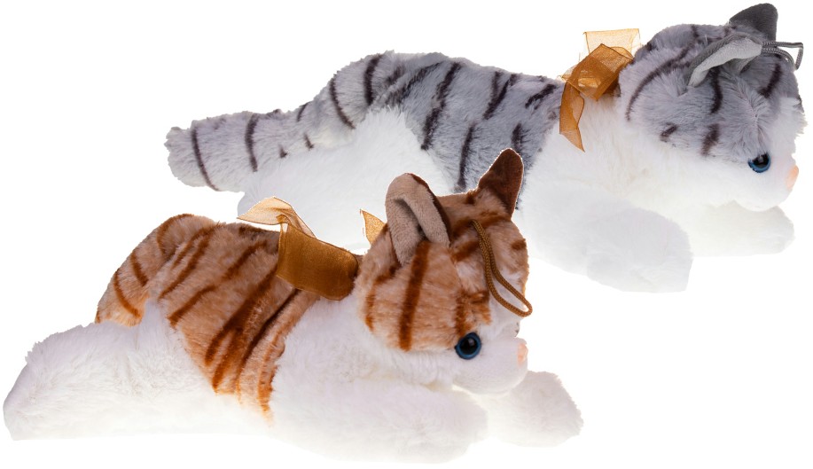 Kot 2 kolory (Głos) - 24cm