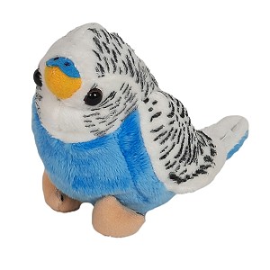 Papużka Falista Niebieska Papuga Mini Ziki DUBI - 14cm Papużka Falista Niebieska Papuga Mini Ziki DUBI - 14cm