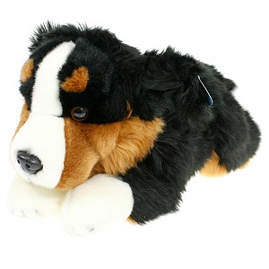 Pies berneński czarny bernardyn DUBI - 30cm Pies berneński czarny bernardyn DUBI - 30cm