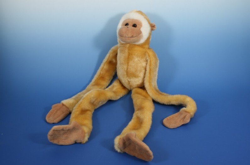 Małpka Gibon z magnesami - 71cm