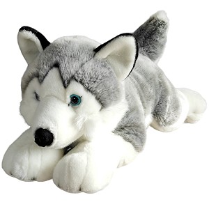 Piesek Husky Leżący DUBI - 62cm Piesek Husky Leżący DUBI - 62cm