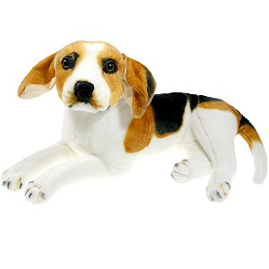 Piesek Beagle Leżący DUBI - 44cm