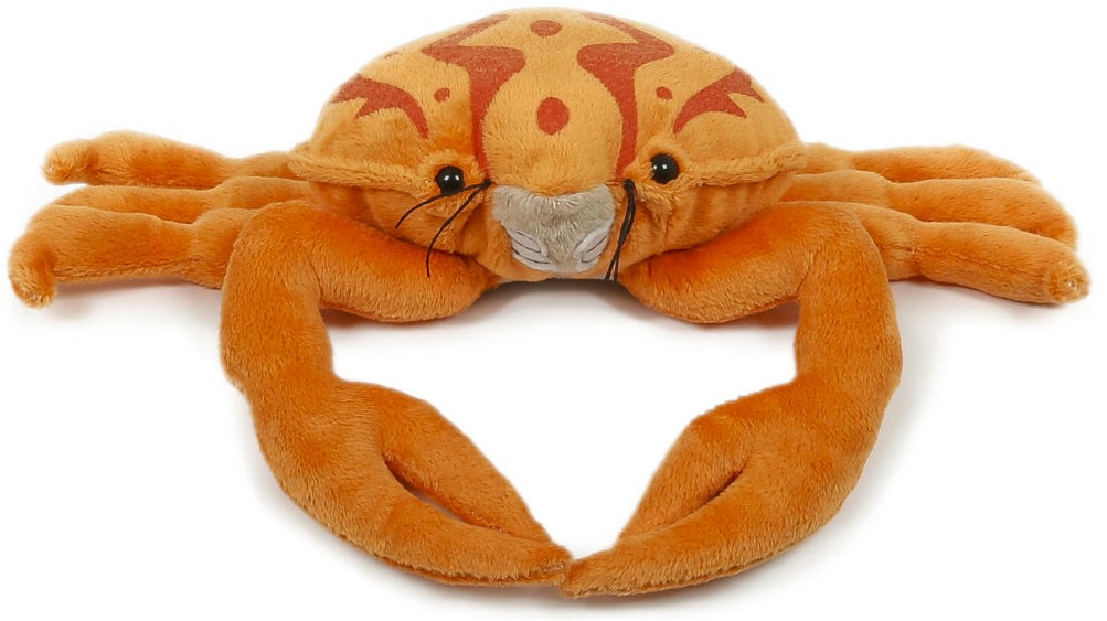 Krab pomarańczowy - 18cm
