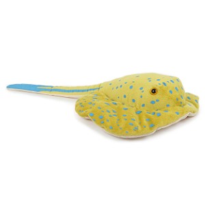 Płaszczka manta plamista - 53cm Płaszczka manta plamista - 53cm