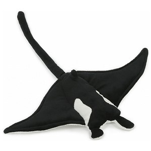 Płaszczka manta - 25cm Płaszczka manta - 25cm