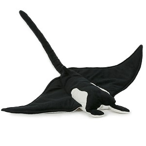 Płaszczka Manta - 51cm