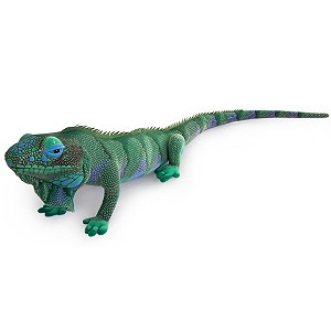 Legwan Iguana DUBI - 76cm