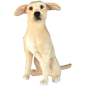 Piesek Labrador Siedzący DUBI - 66cm