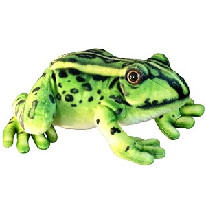 Żaba zielona DUBI - 28cm