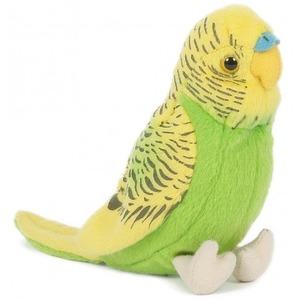 Papuga Falista Papużka Zielona - 12cm