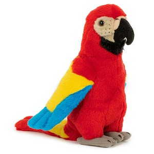 Papuga Ara Czerwona - 20cm