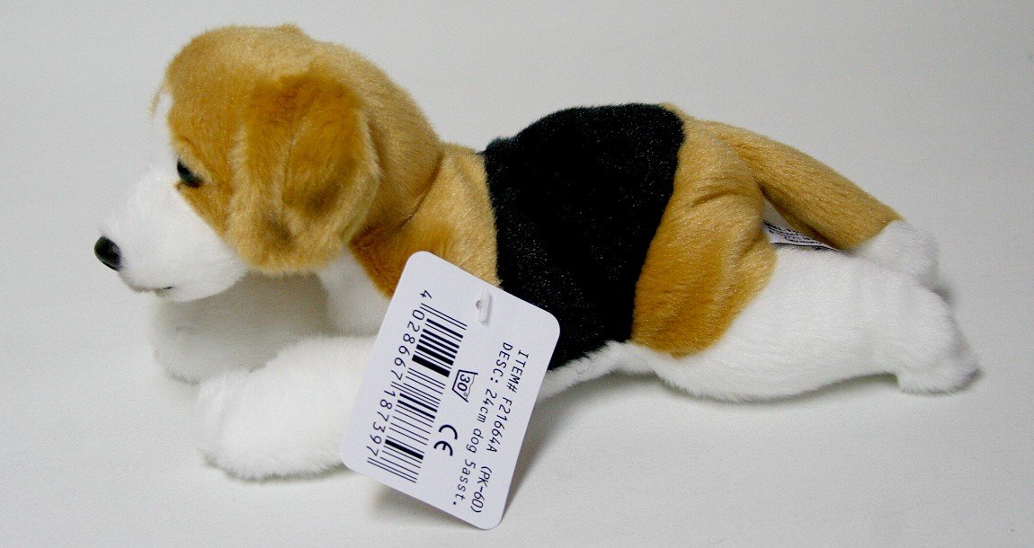 Pies Młody Beagle Leżący - 24cm