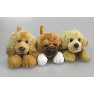 Pies Buldog - 20cm Pies Buldog - 20cm