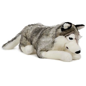 Piesek Husky Leżący - 71cm Piesek Husky Leżący - 71cm