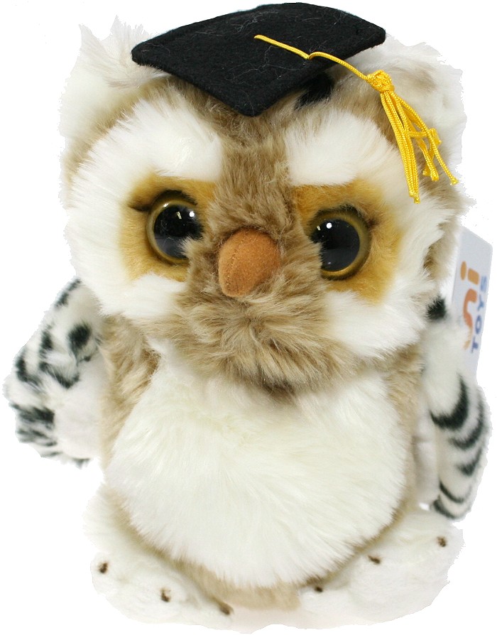 Sowa Szkolna Absolwent brązowa - 20cm