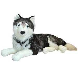 Piesek Husky Leżący DUBI - 60cm