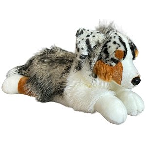 Piesek Australijski Owczarek Leżący DUBI - 61cm