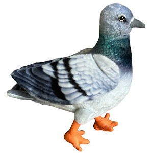 Gołąbek Niebieski DUBI - 30cm
