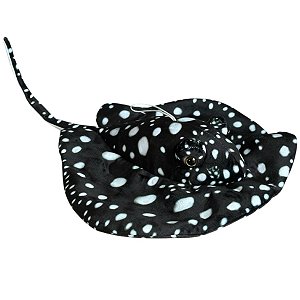 Manta Płaszczka Czarna DUBI - 55cm