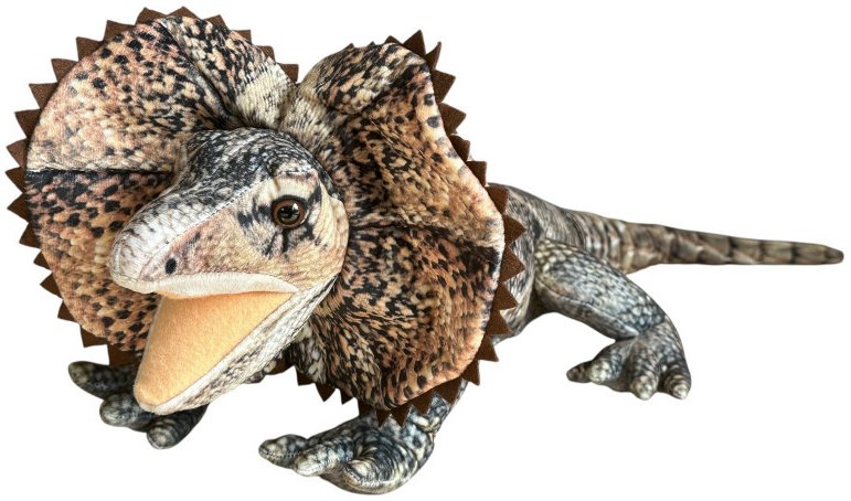 Agama Pluszowa DUBI - 65cm