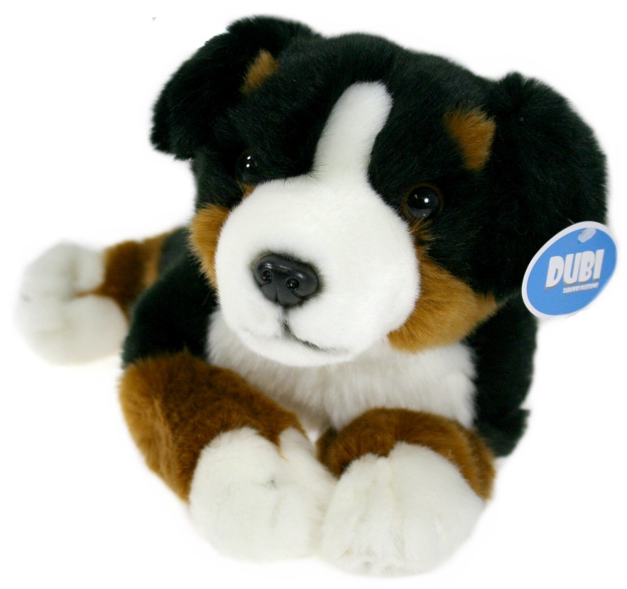 Pies berneński czarny bernardyn - 34cm