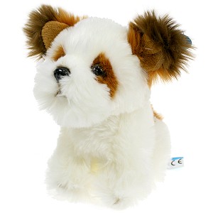 Piesek Shin-Tzu DUBI - 18cm
