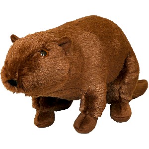 Bóbr - 40/28cm