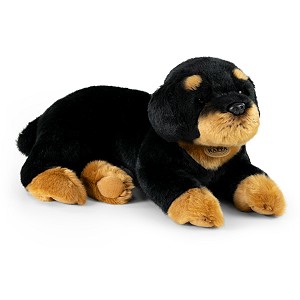 Piesek Rottweiler Leżący - 38cm Piesek Rottweiler Leżący - 38cm