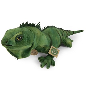 Legwan Iguana - 70cm Legwan Iguana - 70cm