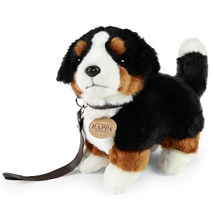 Piesek Berneński Czarny Bernardyn ze smyczą - 22cm Piesek Berneński Czarny Bernardyn ze smyczą - 22cm