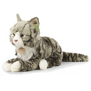Kotek Norweski Szary Pręgowany - 55/32cm