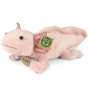 Aksolotl Ambystoma Meksykańska - 33cm