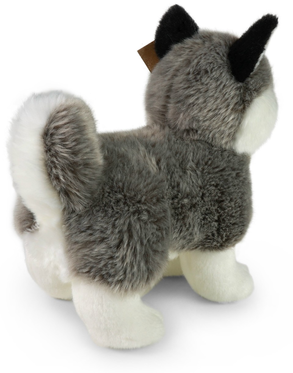 Piesek Husky Stojący - 23cm