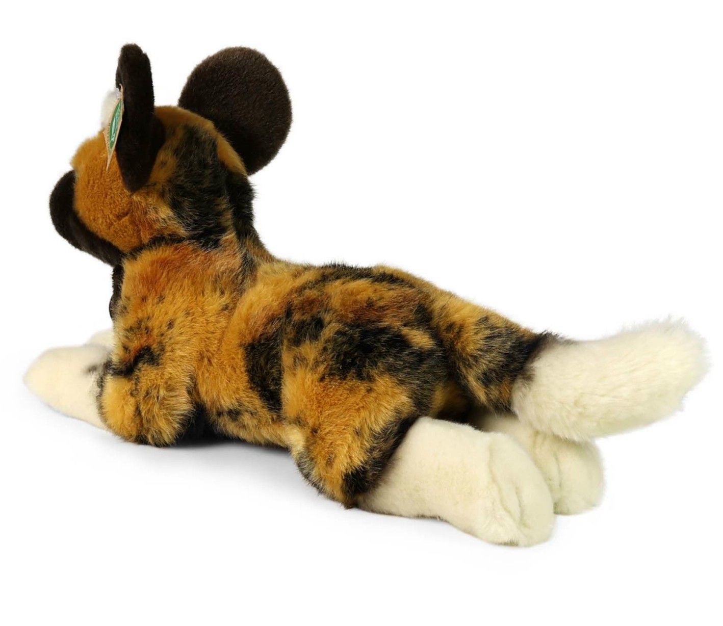 Dziki Piesek Afrykański Leżący - 28cm