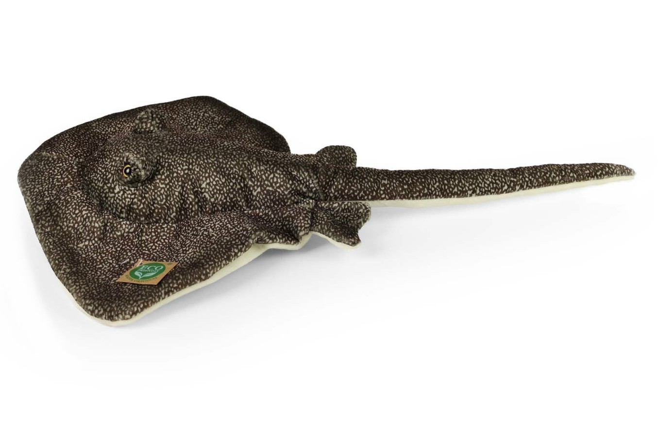 Manta Płaszczka Czarna - 50cm